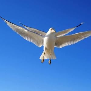 Meet your Posher, Keith